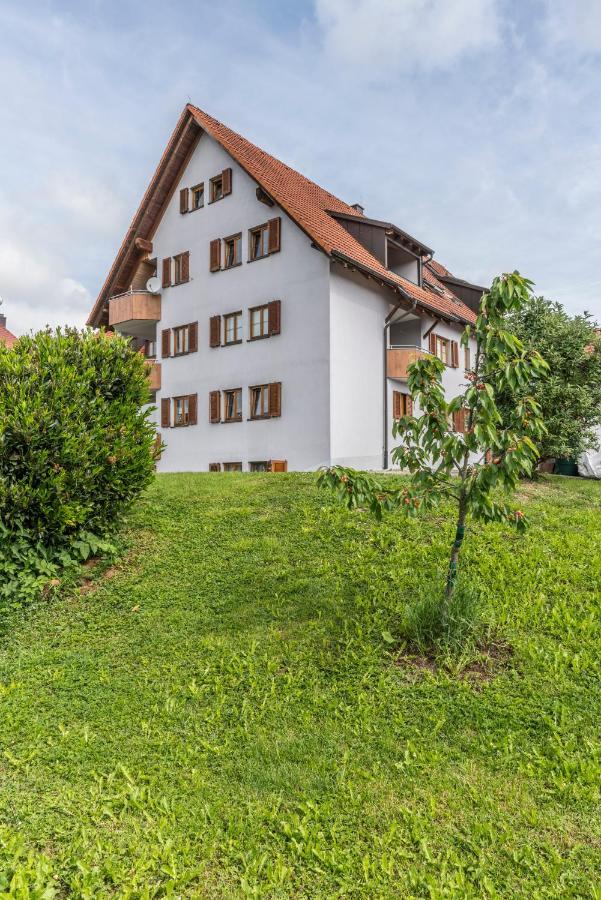 RH-Appartements Grenzach-Wyhlen Extérieur photo